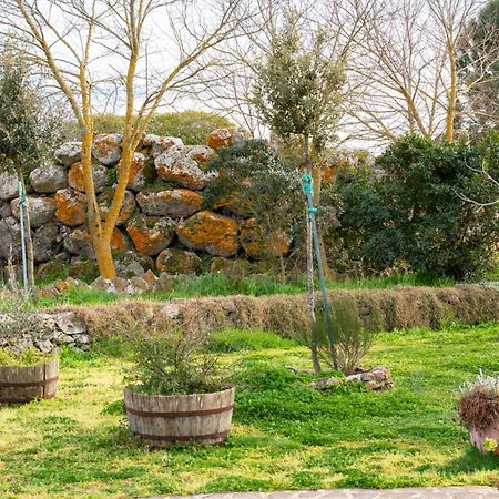 Agriturismo Nuragh'Elighe Sindia Екстериор снимка