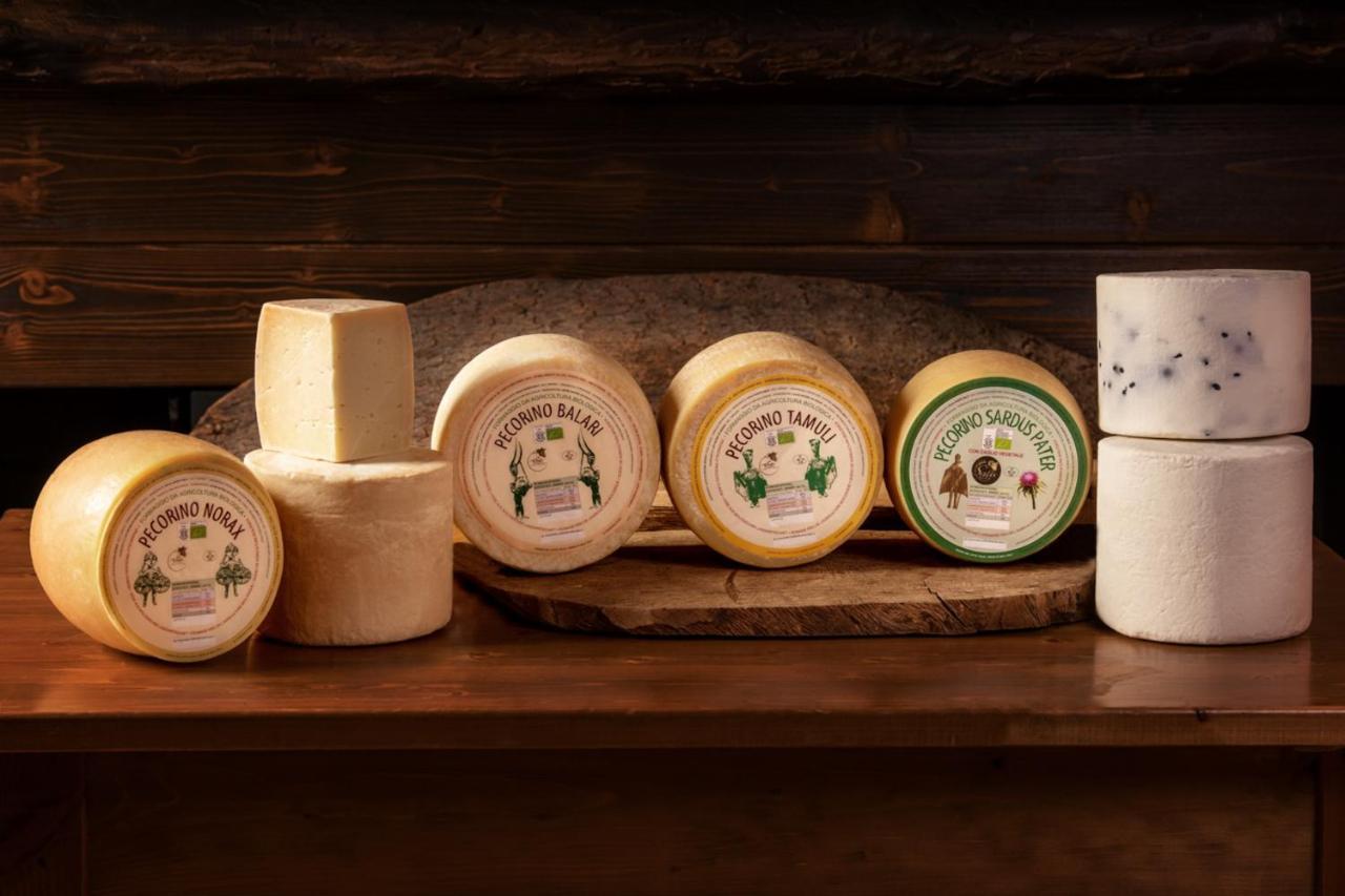 Agriturismo Nuragh'Elighe Sindia Екстериор снимка
