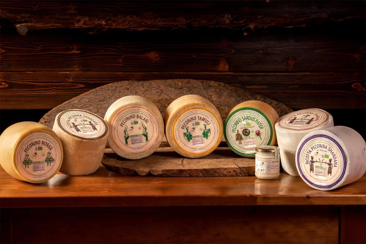 Agriturismo Nuragh'Elighe Sindia Екстериор снимка