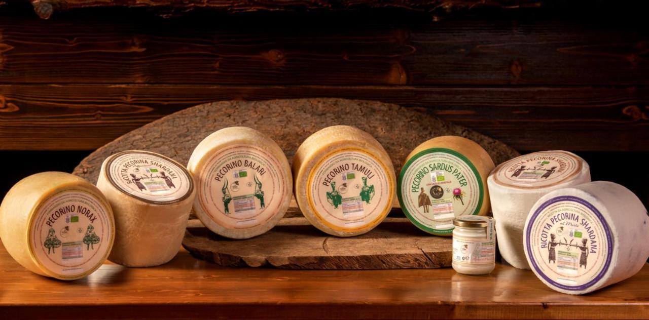 Agriturismo Nuragh'Elighe Sindia Екстериор снимка
