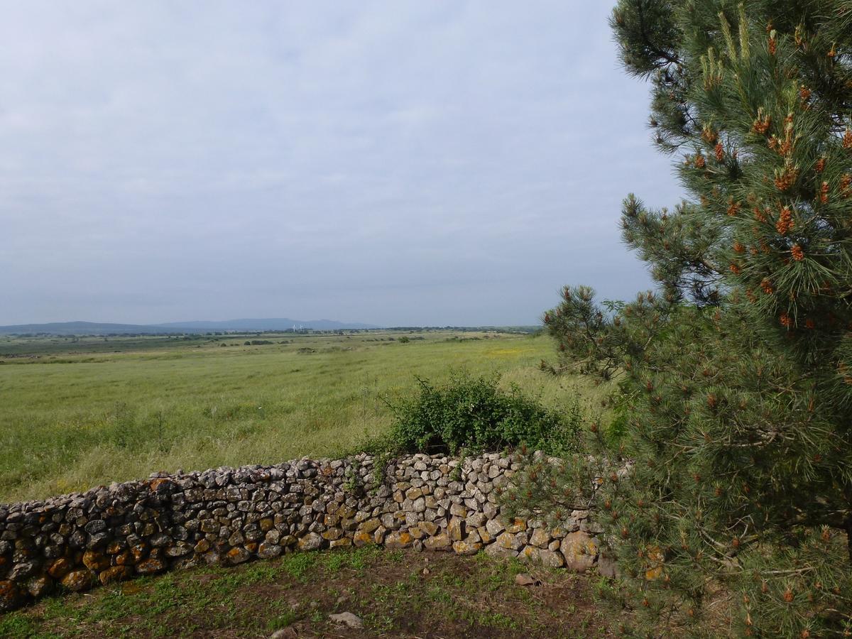 Agriturismo Nuragh'Elighe Sindia Екстериор снимка